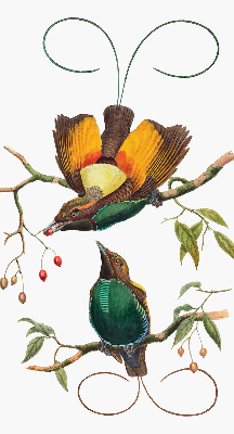 Binnengordijn met vogels op een tak