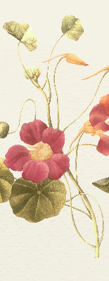 Binnenrolgordijn voor raam bloem
