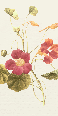 Binnenrolgordijn voor raam bloem