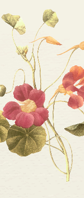 Binnenrolgordijn voor raam bloem