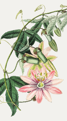 Rolgordijn voor raam met roze bloemen