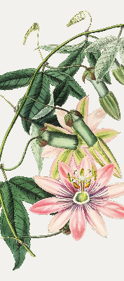 Rolgordijn voor raam met roze bloemen