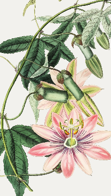 Rolgordijn voor raam met roze bloemen