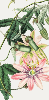 Rolgordijn voor raam met roze bloemen