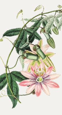 Rolgordijn voor raam met roze bloemen