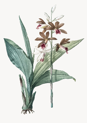 Rolgordijn voor balkondeur bloem