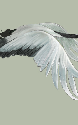 Binnenrolgordijn voor raam met een kraanvogel in vlucht