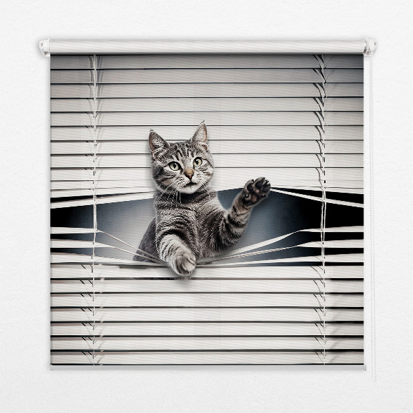 Binnengordijn voor Kat