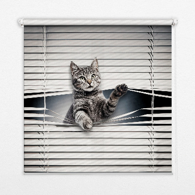 Binnengordijn voor Kat
