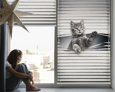 Binnengordijn voor Kat