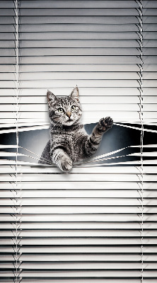 Binnengordijn voor Kat