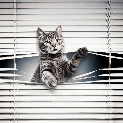 Binnengordijn voor Kat
