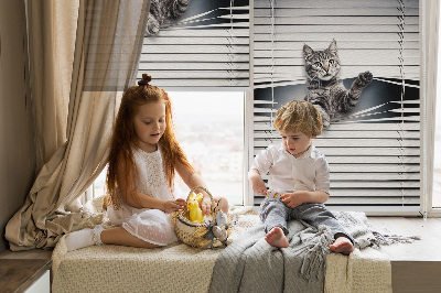 Binnengordijn voor Kat