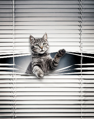 Binnengordijn voor Kat
