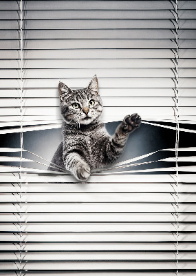 Binnengordijn voor Kat