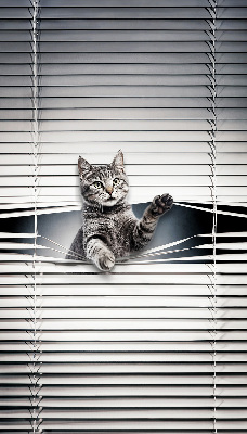 Binnengordijn voor Kat