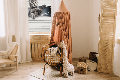 Binnengordijn voor Kat