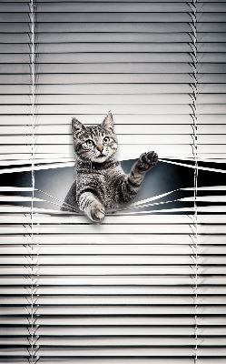 Binnengordijn voor Kat