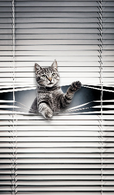 Binnengordijn voor Kat