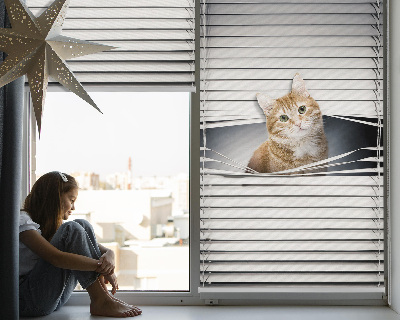 Rolgordijn voor balkondeur in gemberkat