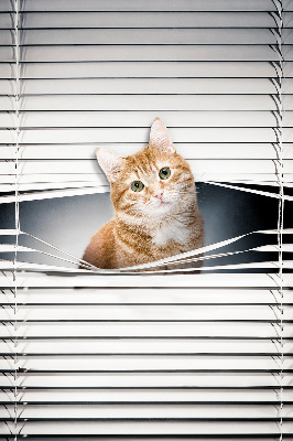 Rolgordijn voor balkondeur in gemberkat