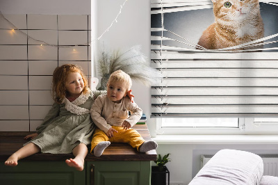 Rolgordijn voor balkondeur in gemberkat