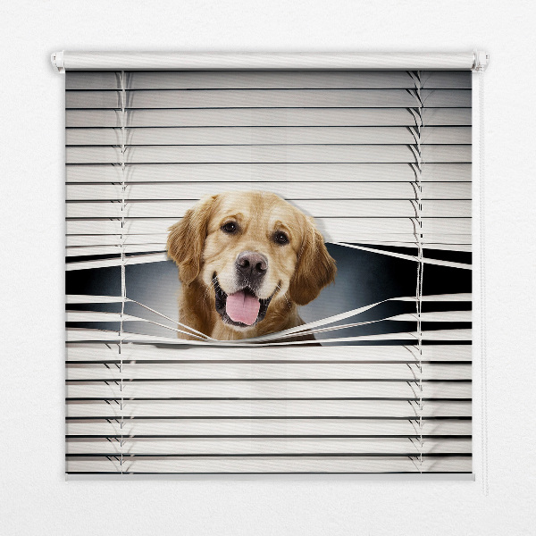 Binnengordijn met goudkleurige hondenprint