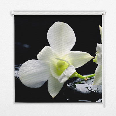 Verduisterend binnengordijn met orchideeën en elegante print