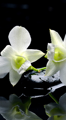 Verduisterend binnengordijn met orchideeën en elegante print