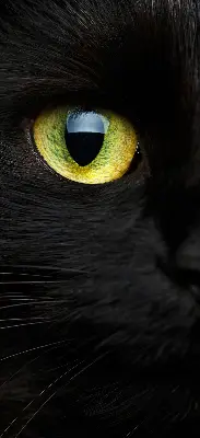 Binnenshuis verduisterend rolgordijn kattenogen