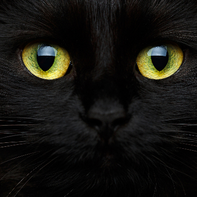 Binnenshuis verduisterend rolgordijn kattenogen