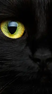 Binnenshuis verduisterend rolgordijn kattenogen