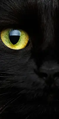 Binnenshuis verduisterend rolgordijn kattenogen