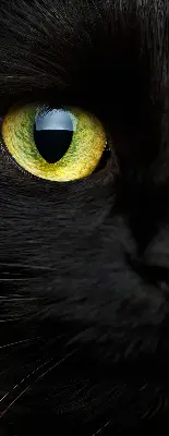 Binnenshuis verduisterend rolgordijn kattenogen