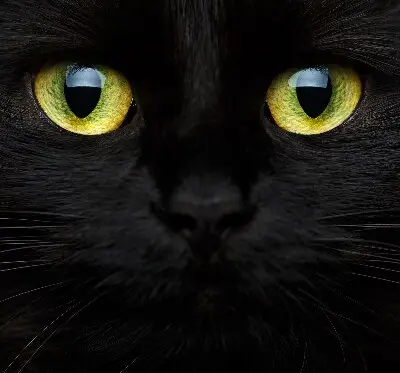 Binnenshuis verduisterend rolgordijn kattenogen