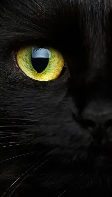 Binnenshuis verduisterend rolgordijn kattenogen