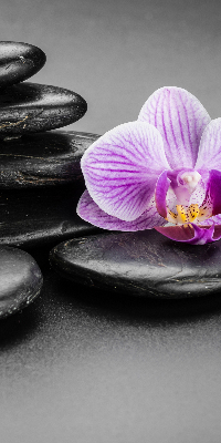 Verduisterend binnengordijn met orchidee op stenen