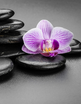 Verduisterend binnengordijn met orchidee op stenen