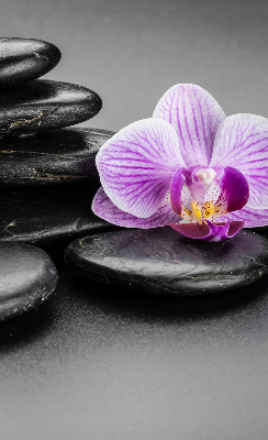 Verduisterend binnengordijn met orchidee op stenen