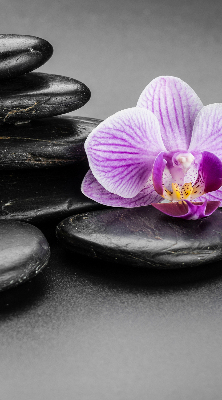 Verduisterend binnengordijn met orchidee op stenen