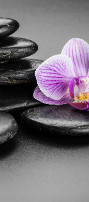 Verduisterend binnengordijn met orchidee op stenen