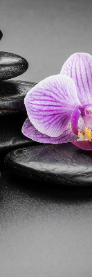 Verduisterend binnengordijn met orchidee op stenen