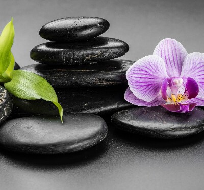 Verduisterend binnengordijn met orchidee op stenen