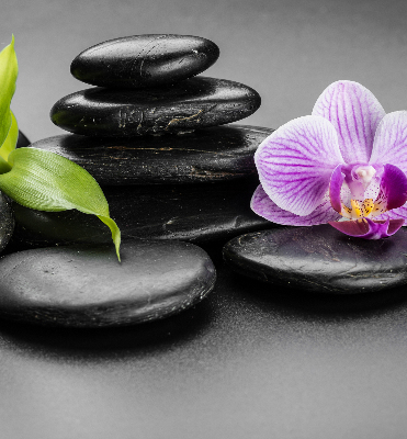 Verduisterend binnengordijn met orchidee op stenen