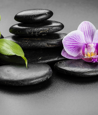 Verduisterend binnengordijn met orchidee op stenen