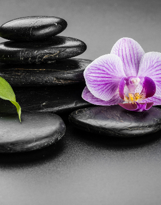 Verduisterend binnengordijn met orchidee op stenen