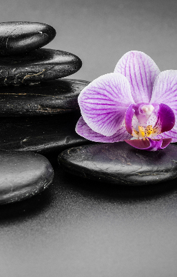 Verduisterend binnengordijn met orchidee op stenen