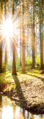 Binnenshuis verduisterend rolgordijn de zon schijnt door de bomen.