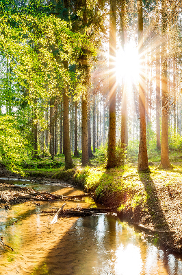 Binnenshuis verduisterend rolgordijn de zon schijnt door de bomen.