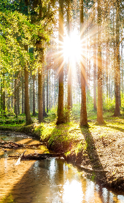 Binnenshuis verduisterend rolgordijn de zon schijnt door de bomen.